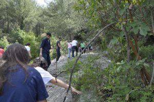 Doğa Gezisi